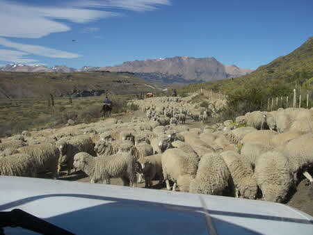 Jeinimeni Patagonien Chile Kajak 1